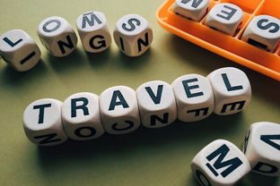科技融入生活，400字的奇妙之旅
